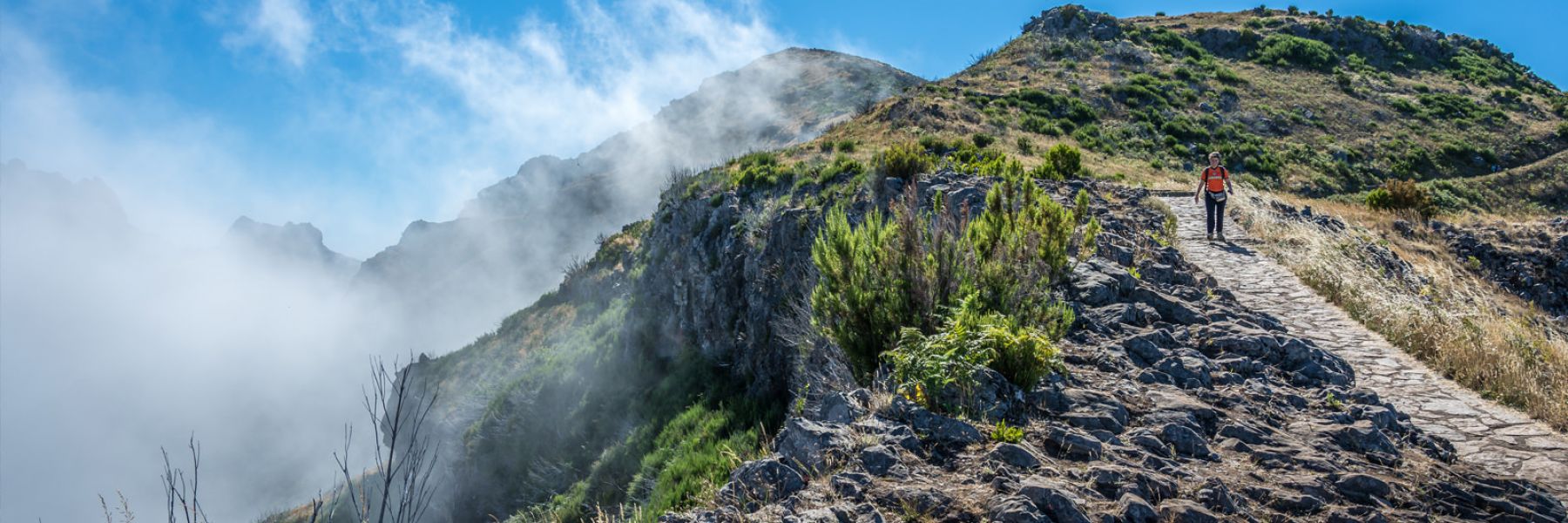 Madeira Rent a Car