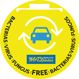 Bacterias - Virus - Fungus